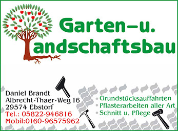 21-05_Daniel_Brandt_88x65_DRUCK