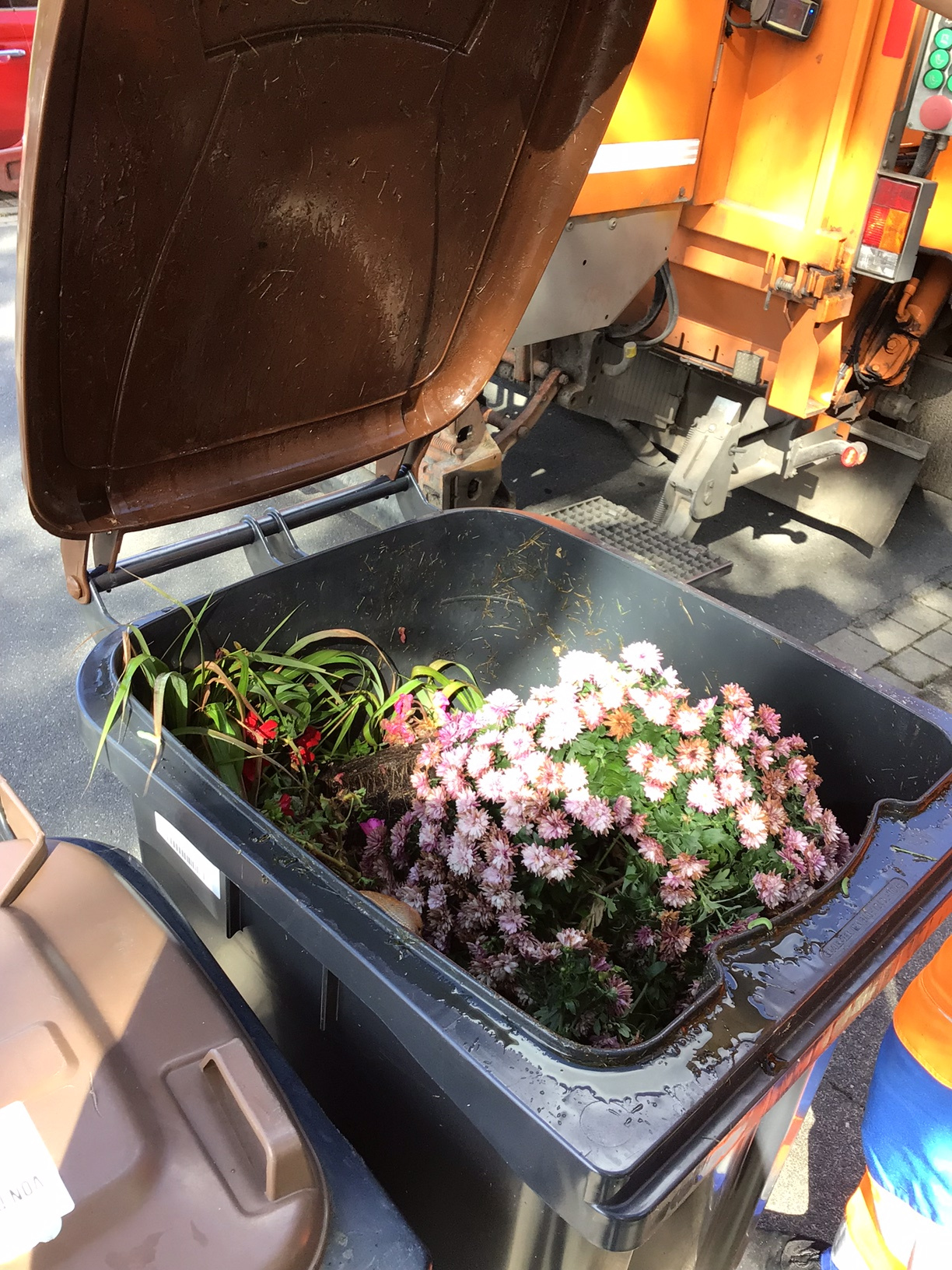 Biotonne mit Gartenabfällen