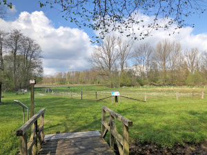 Ausblick auf die Rieselwiese bei Suderburg, Foto: Christine Kohnke-Löbert