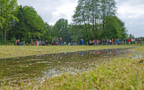 Rieselwiese bei Suderburg, Foto: Christine Kohnke-Löbert