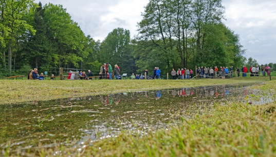 Rieselwiese bei Suderburg, Foto: Christine Kohnke-Löbert