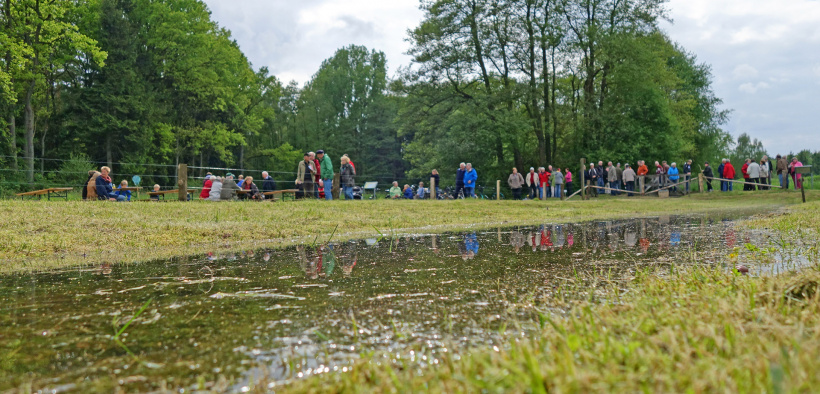 Rieselwiese bei Suderburg, Foto: Christine Kohnke-Löbert