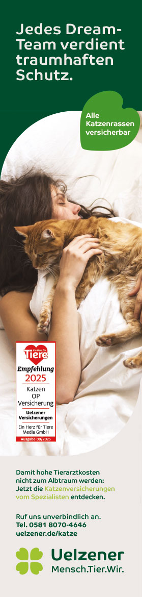 Uelzener_Anzeige_VER-7885_Barftgaans_1025_Katze_70x297_web