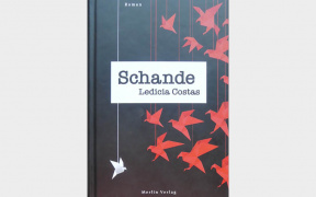 Buchrezension zu Schande von Ledicia Costas