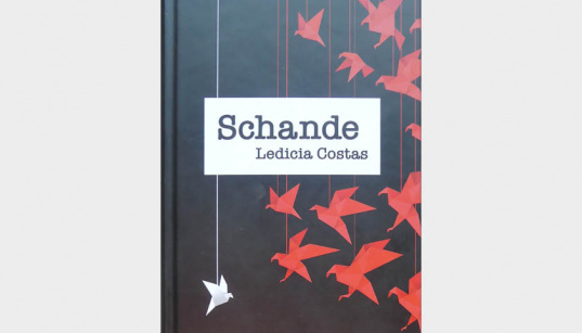 Buchrezension zu Schande von Ledicia Costas