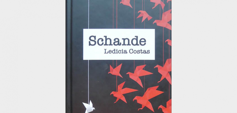 Buchrezension zu Schande von Ledicia Costas